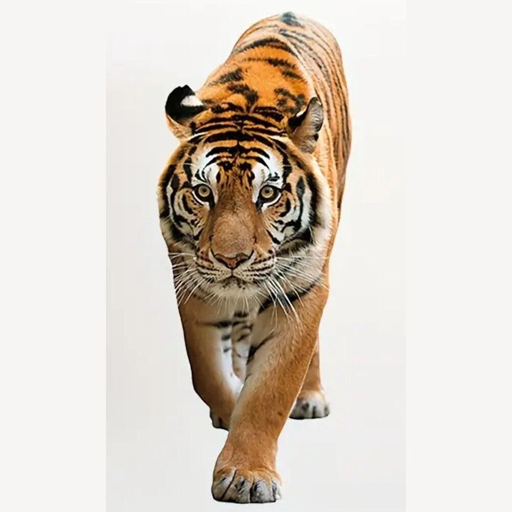 Realistic Tiger 3D Wall Decal 22.83" x 9.05" NEW! Home & Garden:Home Décor:Decals, Stickers & Vinyl Art Style Your Walls